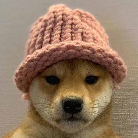 Ryan Ngo