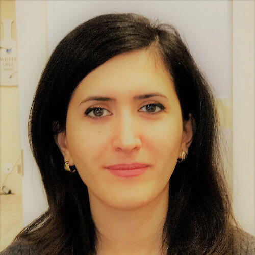 Sara Mohajerani
