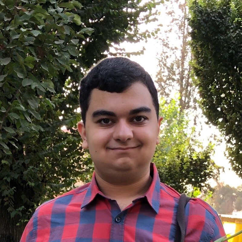 Seyed Parsa Neshaei