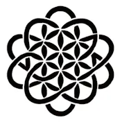 Hiro Yokoki