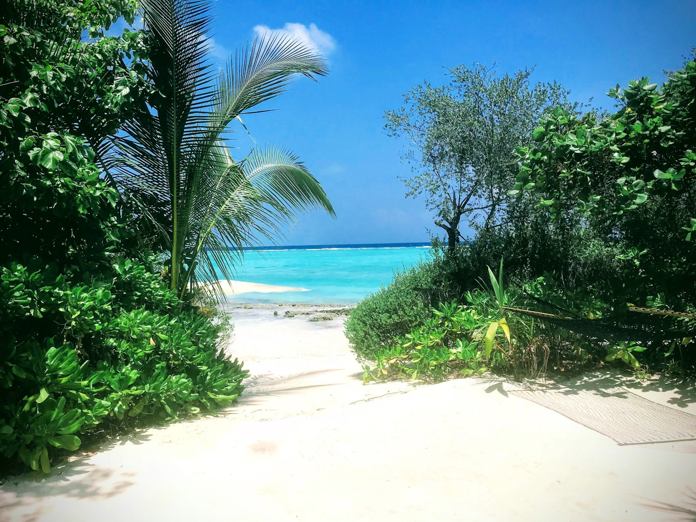 (Photo) A picturesque beach scene with white sand, turquoise water, and lush green vegetation. landscape | outdoor | tropical vegetation, white sand beach, clear blue water Note: The image is a real-life capture of a natural scene, depicting a beach landscape.  It exhibits characteristics of a photograph, such as natural lighting and perspective.