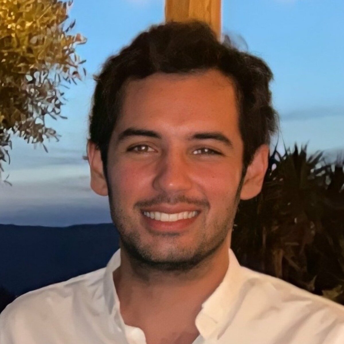 Dan Constantini