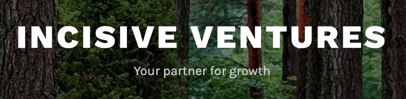 (Banner) A banner image featuring a forest backdrop and the name "Incisive Ventures" with a tagline. Text: INCISIVE VENTURES Your partner for growth modern, nature-themed | Colors: #ffffff, #284b22, #353023 Note: The image presents a company name and tagline prominently over a background image, suggesting its purpose as a website banner or promotional material.