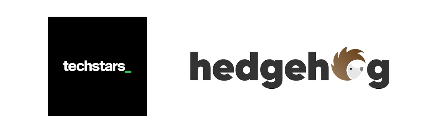 (Logo) The image displays two distinct corporate logos side-by-side on a white background. The left logo features the word 'techstars_' in white on a black square, while the right logo shows the word 'hedgehog' in dark grey with a stylized hedgehog head replacing the second 'g'. Text: techstars_, hedgehog Colors: #000000, #FFFFFF, #ADFF2F, #333333, #A0522D, #CCCCCC Note: The image clearly presents two distinct graphical representations designed to identify brands or companies, combining text with stylized visual elements, which is the defining characteristic of logos.